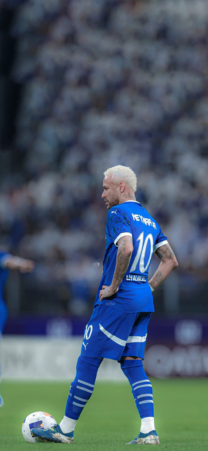 得到广泛的 得到广泛的