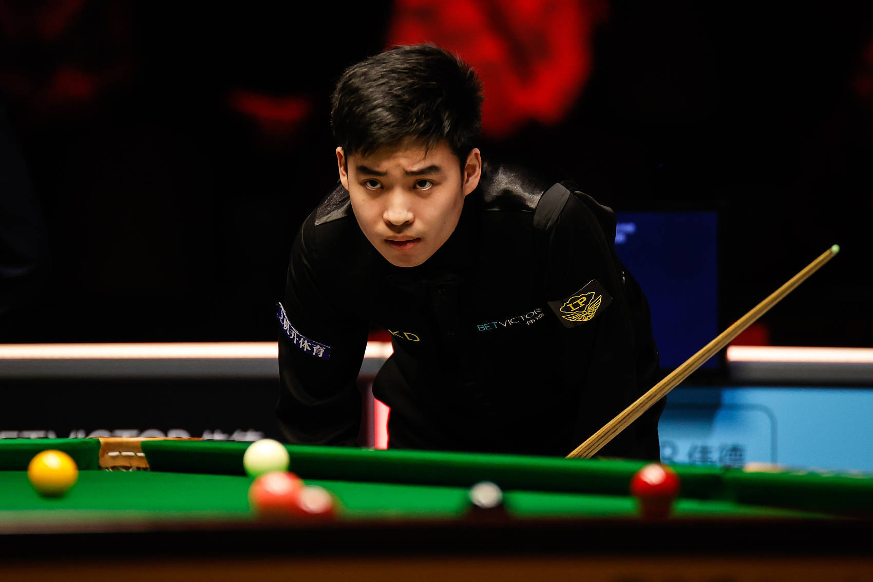 涯重大决策 涯重大决策